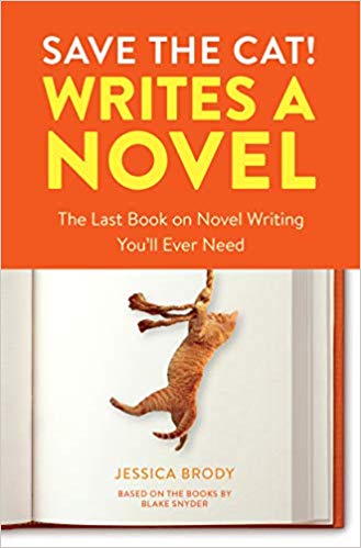  cat writes a novel story structure